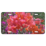 Tropical Pink Bougainvillea Island Floral License Plate