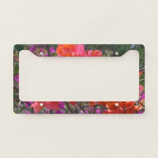 Tropical Pink Bougainvillea Island Floral License Plate Frame (Front)