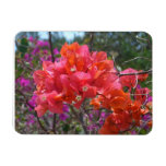 Tropical Pink Bougainvillea Island Floral Magnet