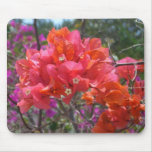 Tropical Pink Bougainvillea Island Floral Mouse Pad