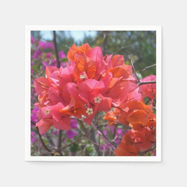 Tropical Pink Bougainvillea Island Floral Paper Napkins (Front)