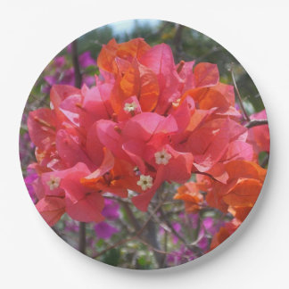 Tropical Pink Bougainvillea Island Floral Paper Plates