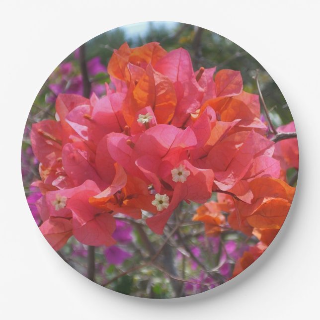 Tropical Pink Bougainvillea Island Floral Paper Plates (Front)