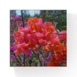 Tropical Pink Bougainvillea Island Floral Paperweight