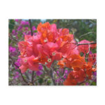 Tropical Pink Bougainvillea Island Floral Postcard