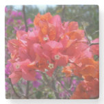 Tropical Pink Bougainvillea Island Floral Stone Coaster