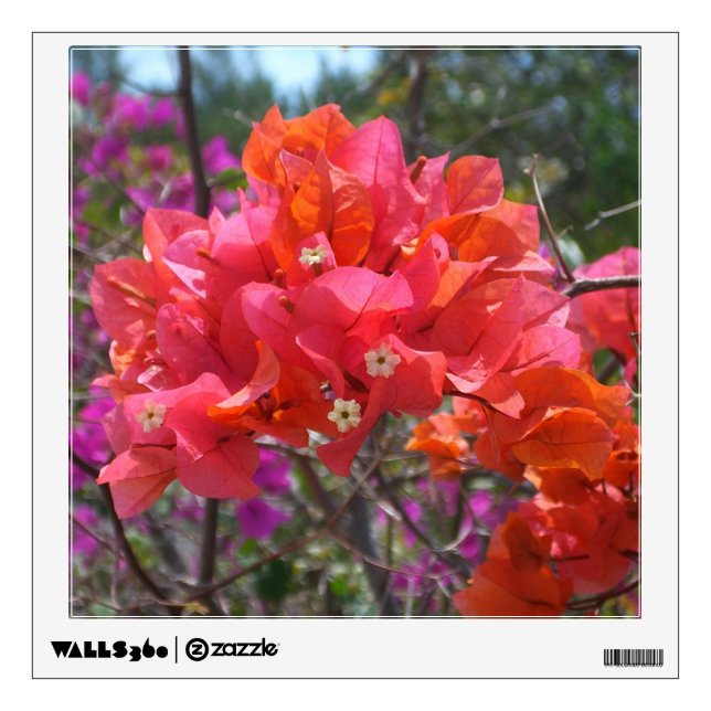 Tropical Pink Bougainvillea Island Floral Wall Sticker (Front)