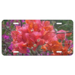Tropical Pink Bougainvillea License Plate