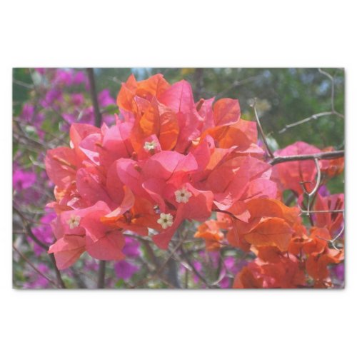 Tropical Pink Bougainvillea Tissue Paper
