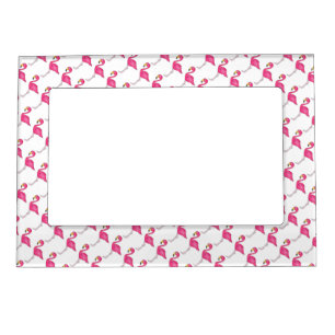 Tropical Pink Flamingo Flamingos Bird Birds Frame