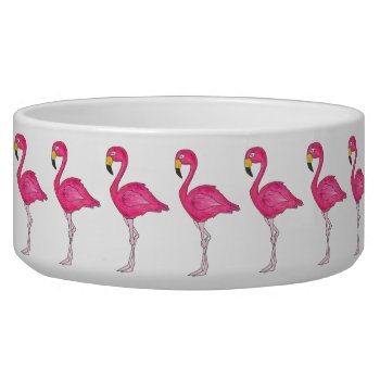 Tropical Pink Flamingo Flamingos Bird Pet Bowl by rebeccaheartsny at Zazzle