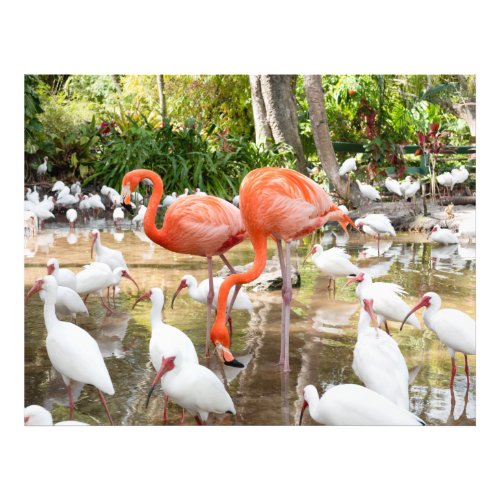  Tropical Pink Flamingo Nature Florida Photo Print