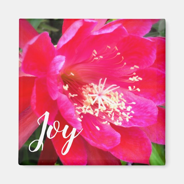 Tropical Pink Flower Photo Magnet (Front)