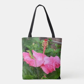 Tropical Pink Hibiscus Flower Anole Lizard Photo