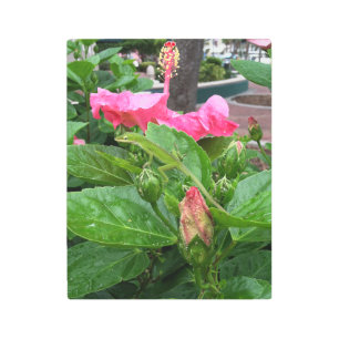 Tropical Pink Hibiscus Flower Camouflaged Lizard Metal Print