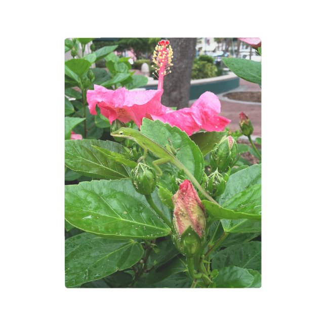 Tropical Pink Hibiscus Flower Camouflaged Lizard Metal Print (Front)