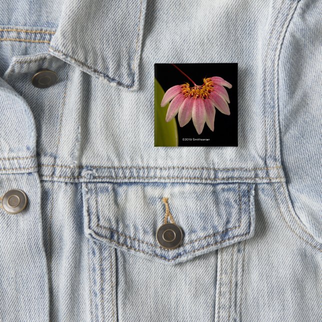 Tropical Pink Orchid Button (In Situ)