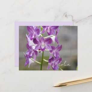 Tropical Pink Orchid Flowers Kauai Postcard