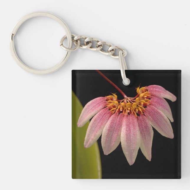 Tropical Pink Orchid Keychain (Front)