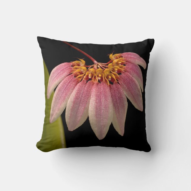 Tropical Pink Orchid Throw Pillow (Front)