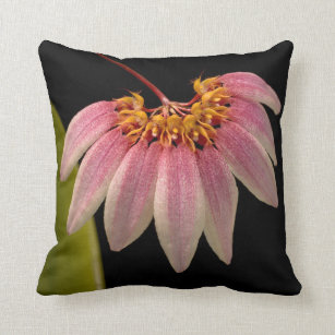 Tropical Pink Orchid Throw Pillow