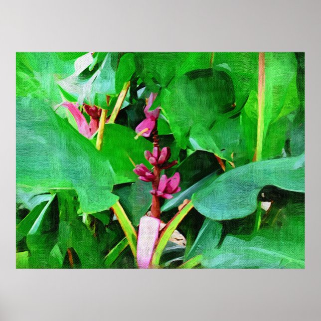 Tropical Pink velvet banana collection Poster (Front)