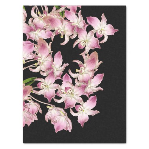 Tropical Pink White Orchid Flowers Tissue Paper