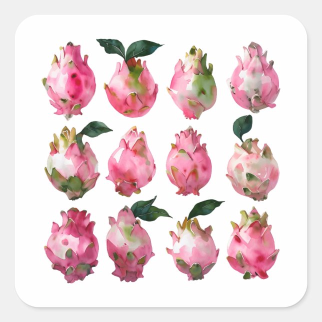 Tropical Pitaya Watercolor Art Square Sticker (Front)