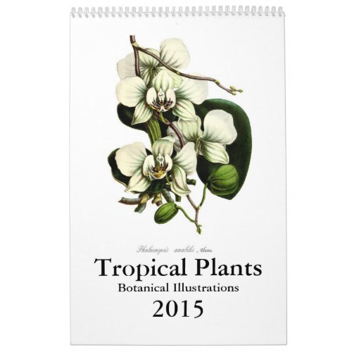 Tropical Plants 2015 Calendar