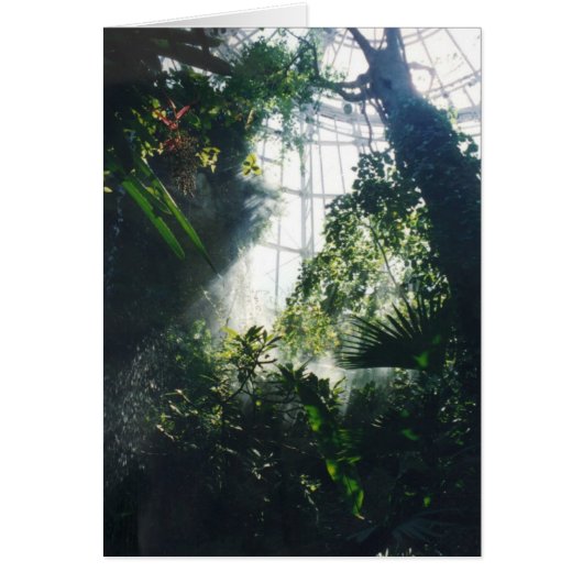 Tropical Plants Cards (Front)