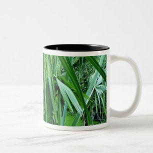 Tropical plants in salt pond Two-Tone coffee mug