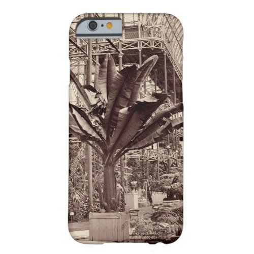 Tropical Plants in the Egyptian Room Crystal Pala Barely There iPhone 6 Case