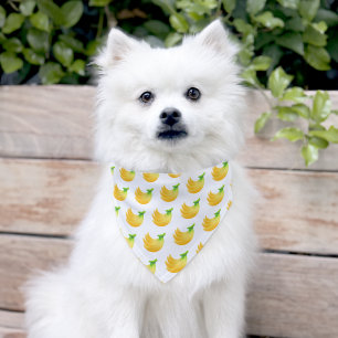 Tropical Playful Cute Cat Dog Pet Mom Lovers Bandana Collar
