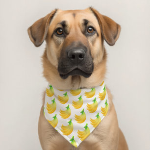 Tropical Playful Cute Cat Dog Pet Mom Lovers Bandana Collar
