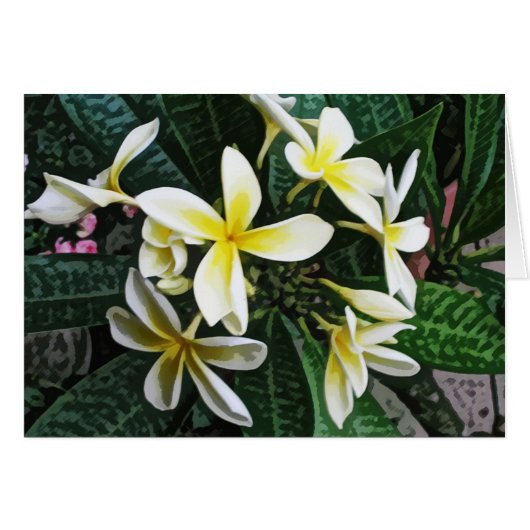 Tropical Plumeria Card (Front Horizontal)
