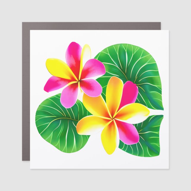 Tropical Plumeria Flowers Car Magnet (Front)