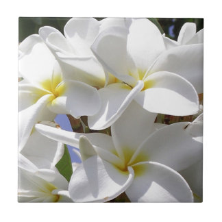 Tropical Plumeria Flowers Ceramic Tile
