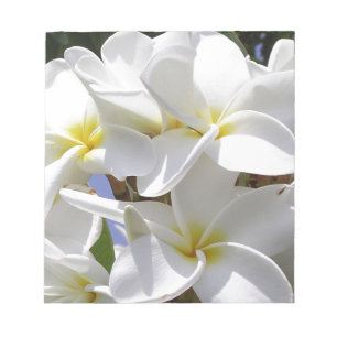 Tropical Plumeria Flowers Notepad