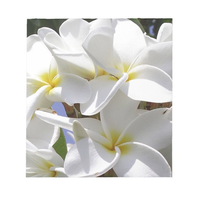 Tropical Plumeria Flowers Notepad (Front)
