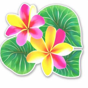 Tropical Plumeria Flowers Sticker