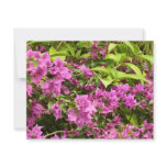 Tropical Purple Bougainvillea Floral