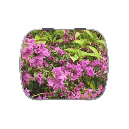 Tropical Purple Bougainvillea Floral Candy Tin (Top)