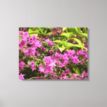 Tropical Purple Bougainvillea Floral Canvas Print