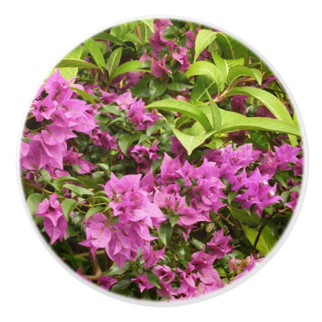 Tropical Purple Bougainvillea Floral Ceramic Knob (Front)