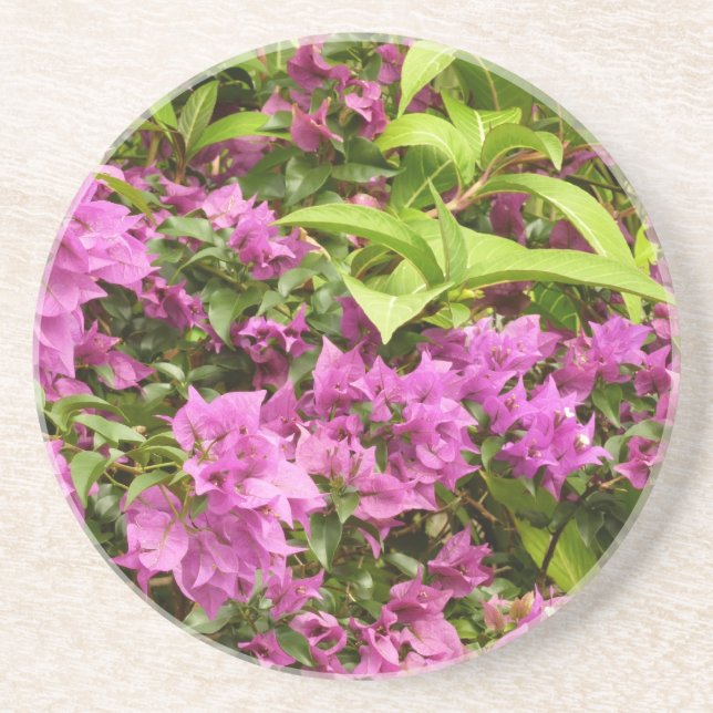 Tropical Purple Bougainvillea Floral Drink Coaster (Front)
