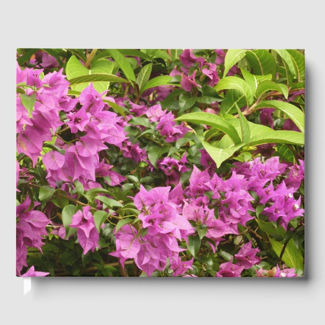 Tropical Purple Bougainvillea Floral Guest Book (Front)