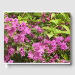 Tropical Purple Bougainvillea Floral Guest Book