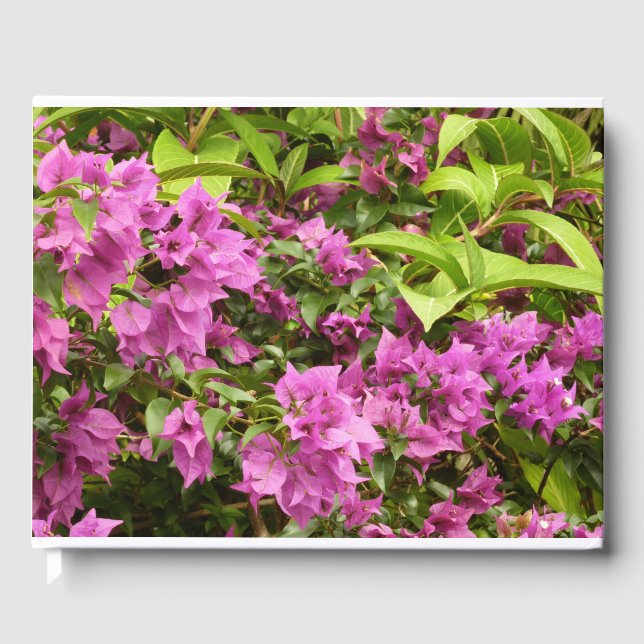 Tropical Purple Bougainvillea Floral Guest Book (Front)