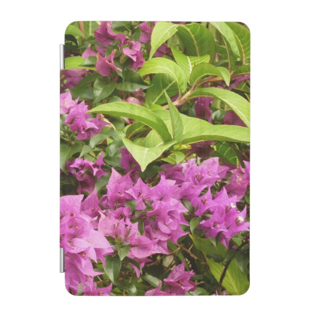 Tropical Purple Bougainvillea Floral iPad Mini Cover (Front)