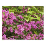 Tropical Purple Bougainvillea Floral Jigsaw Puzzle